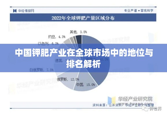 中國鉀肥產(chǎn)業(yè)在全球市場(chǎng)中的地位與排名解析