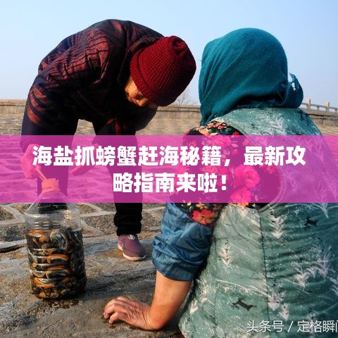 海鹽抓螃蟹趕海秘籍，最新攻略指南來啦！