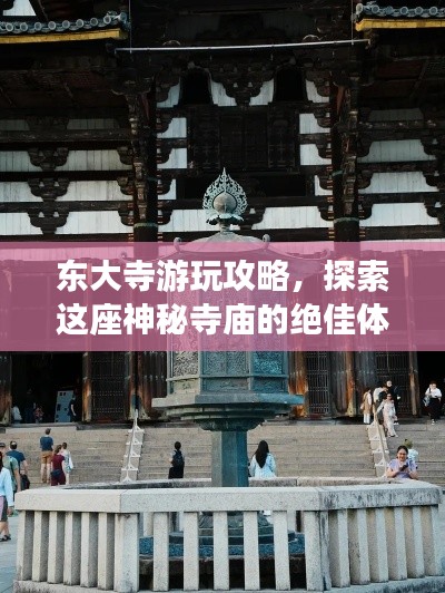 東大寺游玩攻略，探索這座神秘寺廟的絕佳體驗(yàn)！