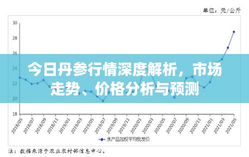 今日丹參行情深度解析，市場走勢、價格分析與預測