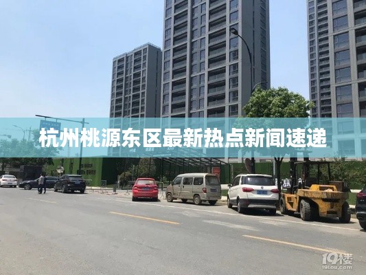 杭州桃源東區(qū)最新熱點(diǎn)新聞速遞