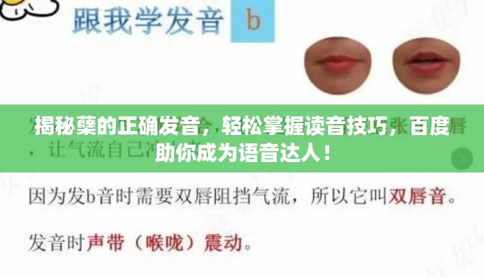 揭秘蘗的正確發(fā)音，輕松掌握讀音技巧，百度助你成為語音達(dá)人！
