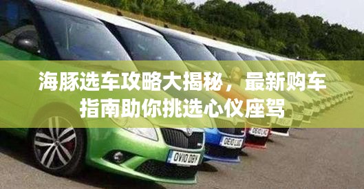 海豚選車攻略大揭秘，最新購車指南助你挑選心儀座駕
