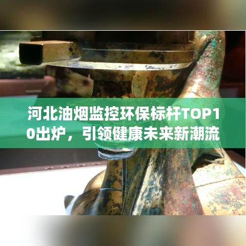 河北油煙監(jiān)控環(huán)保標(biāo)桿TOP10出爐，引領(lǐng)健康未來新潮流