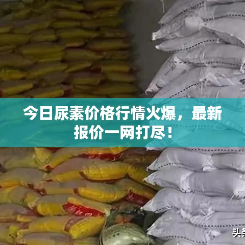 今日尿素價格行情火爆，最新報價一網(wǎng)打盡！