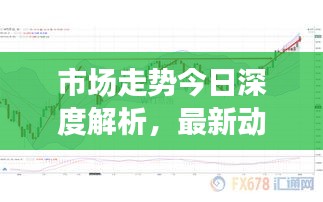 市場走勢今日深度解析，最新動態(tài)一網(wǎng)打盡