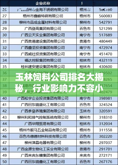 玉林飼料公司排名大揭秘，行業(yè)影響力不容小覷