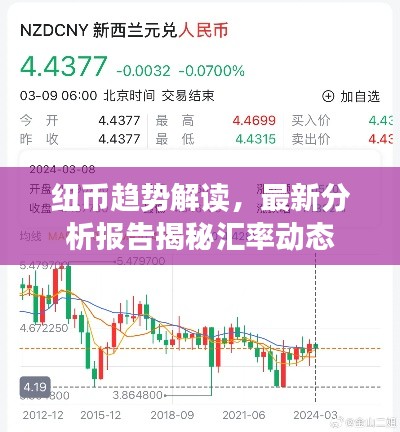 紐幣趨勢解讀，最新分析報(bào)告揭秘匯率動(dòng)態(tài)