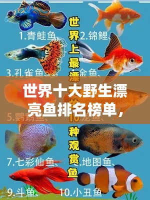 世界十大野生漂亮魚排名榜單，驚艷你的眼球！