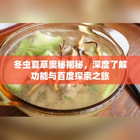 冬蟲夏草奧秘揭秘，深度了解功能與百度探索之旅
