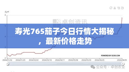 壽光765茄子今日行情大揭秘，最新價格走勢