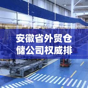 安徽省外貿(mào)倉儲(chǔ)公司權(quán)威排名榜單揭曉！