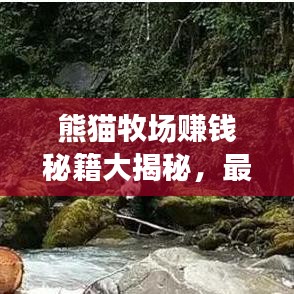 熊貓牧場(chǎng)賺錢秘籍大揭秘，最新攻略助你打造財(cái)富牧場(chǎng)！