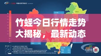 竹蟶今日行情走勢(shì)大揭秘，最新動(dòng)態(tài)一網(wǎng)打盡