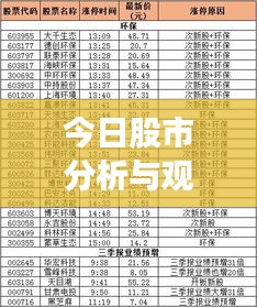 今日股市分析與觀察，最新動(dòng)態(tài)，熱門板塊一網(wǎng)打盡