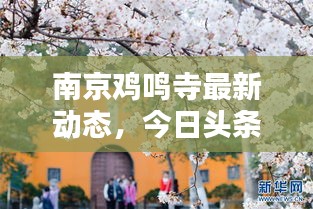 南京雞鳴寺最新動態(tài)，今日頭條新聞報道揭秘！