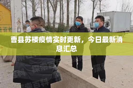 曹縣蘇樓疫情實時更新，今日最新消息匯總