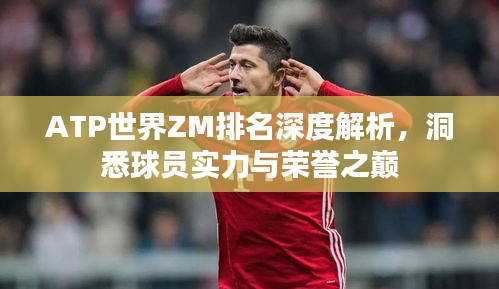 ATP世界ZM排名深度解析，洞悉球員實(shí)力與榮譽(yù)之巔