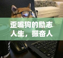 歪嘴狗的勵(lì)志人生，振奮人心的名言警句