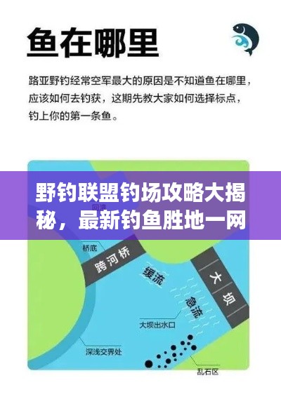 野釣聯(lián)盟釣場攻略大揭秘，最新釣魚勝地一網(wǎng)打盡！