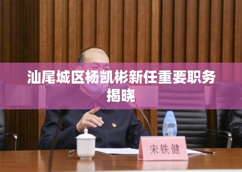 汕尾城區(qū)楊凱彬新任重要職務(wù)揭曉