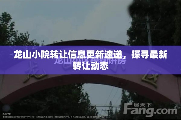 龍山小院轉讓信息更新速遞，探尋最新轉讓動態(tài)