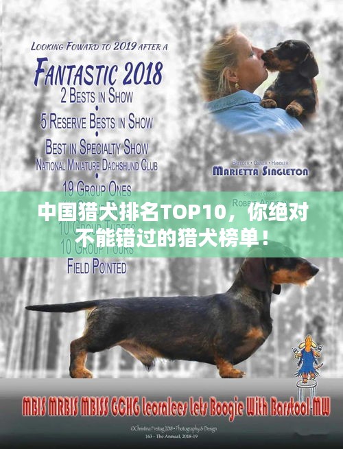 中國(guó)獵犬排名TOP10，你絕對(duì)不能錯(cuò)過(guò)的獵犬榜單！