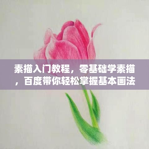 素描入門教程，零基礎學素描，百度帶你輕松掌握基本畫法