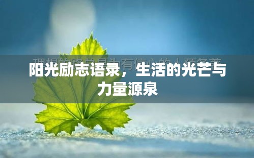 陽光勵(lì)志語錄，生活的光芒與力量源泉
