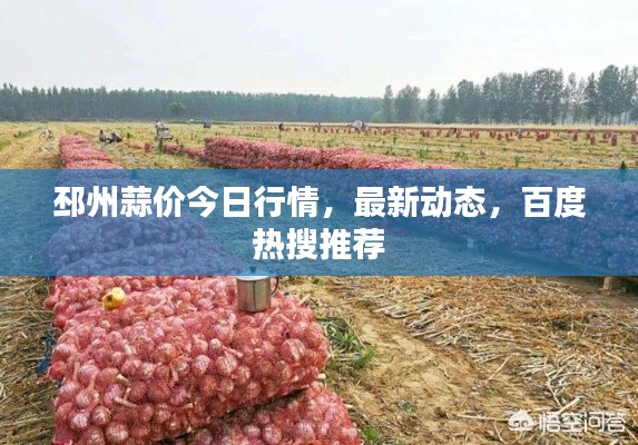 邳州蒜價(jià)今日行情，最新動(dòng)態(tài)，百度熱搜推薦